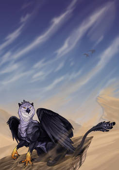 In the Land of the Djinn