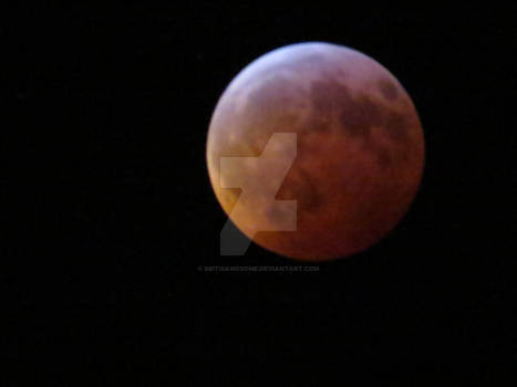 Blood Moon Jan 20th 2019