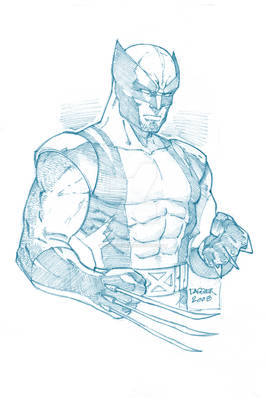 Wolverine Pencil Sketch