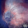 Emerged from oblivion fantasy