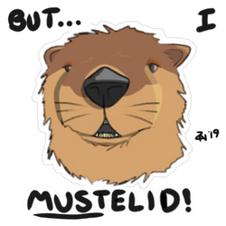But I Mustelid! by StormcallerZef
