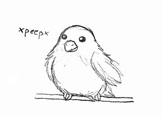 Pudgie Budgie