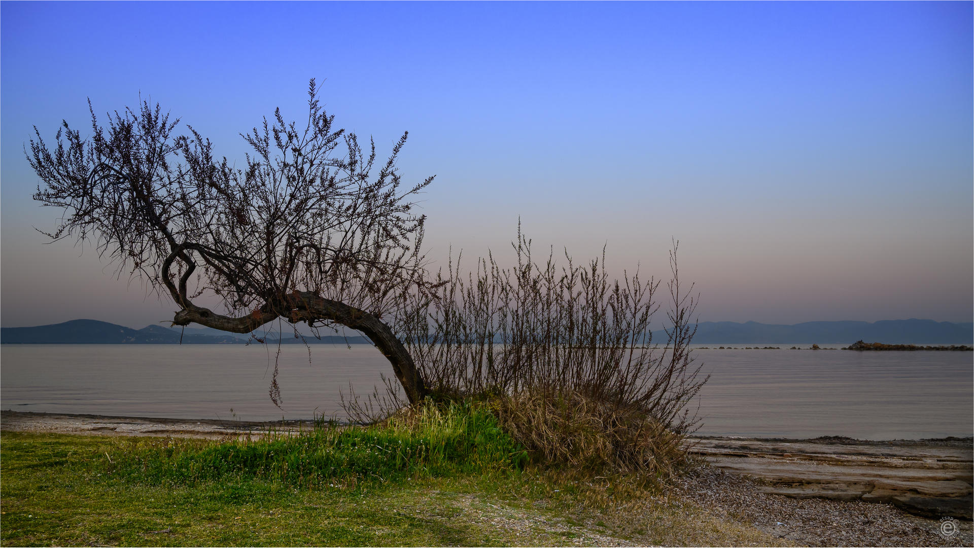 lone_tree_by_the_sea_by_etsap_df2dsxy-fullview.jpg