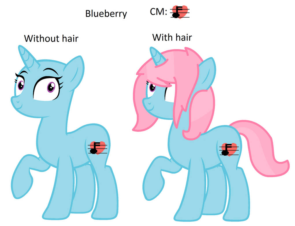 MLP: Blueberry's Pony Ref Sheet (Speedpaint)