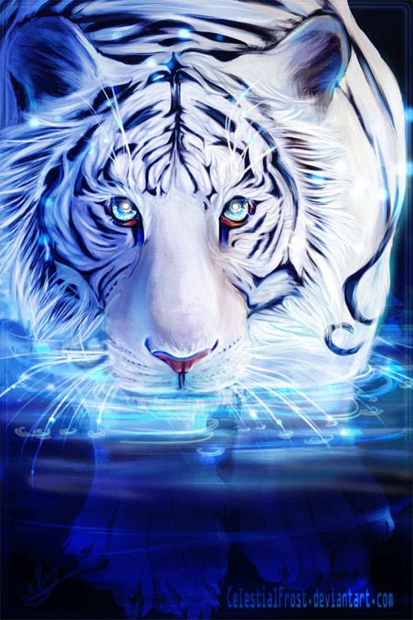 White Tiger by CelestialFrost on DeviantArt