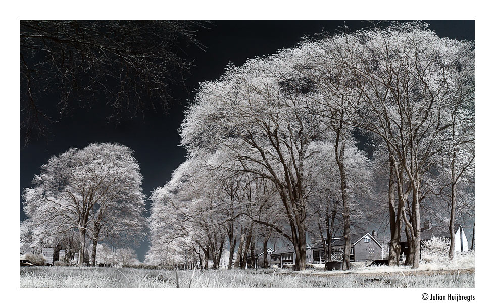 Infrared Panorama