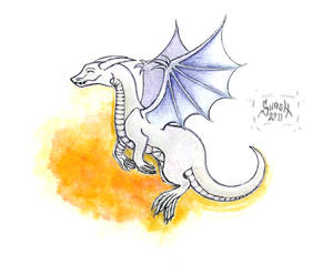 White Dragon - Hvitur