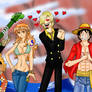 New World Straw Hat Pirates