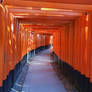 A walk through red