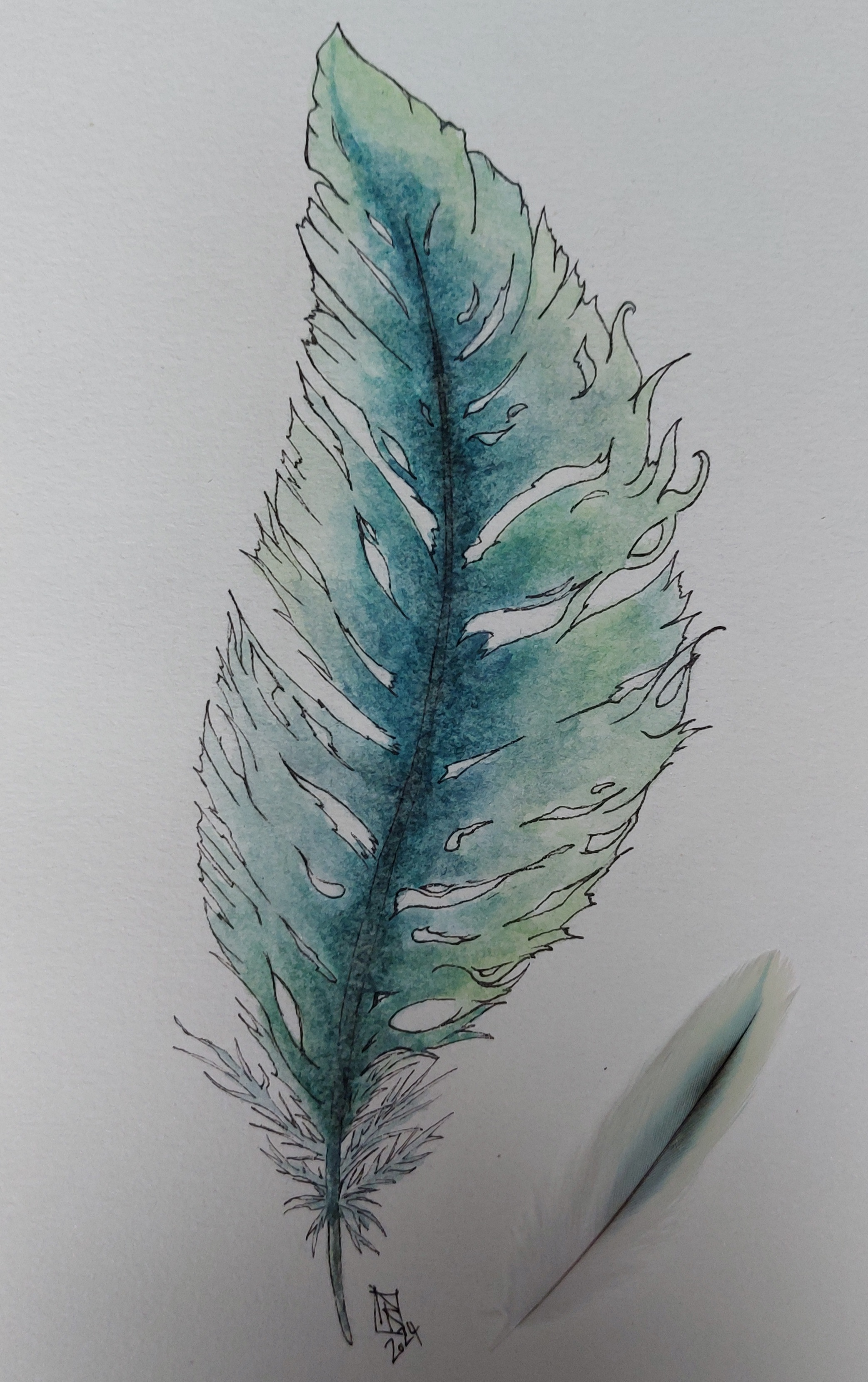 A Feather