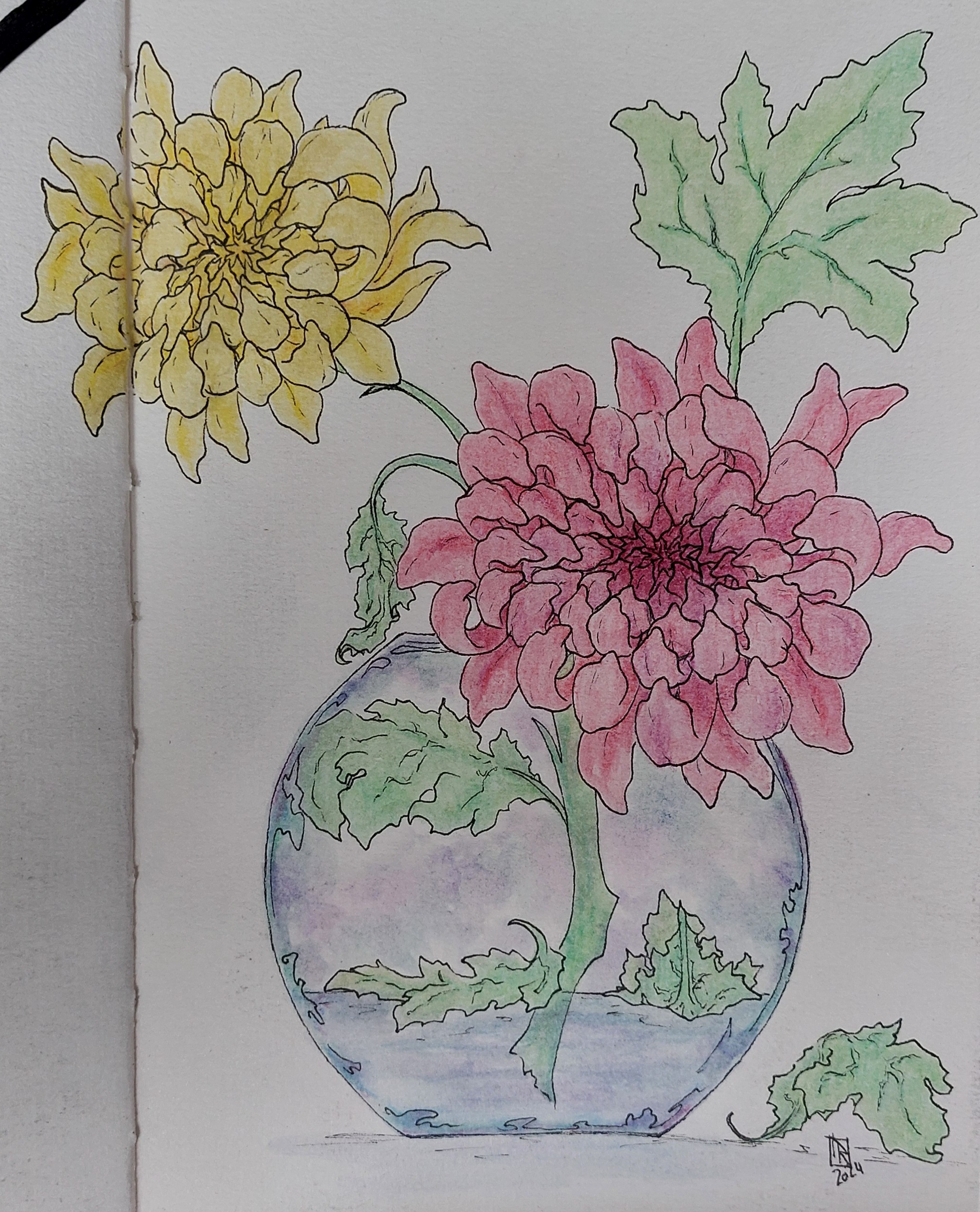 Chrysantemums in Red and Yellow