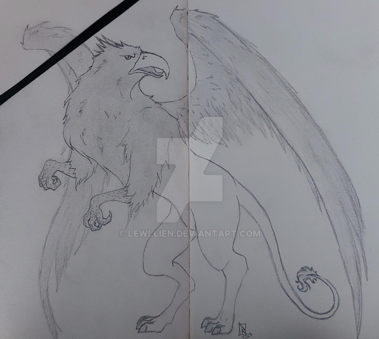 Gryphon sketch