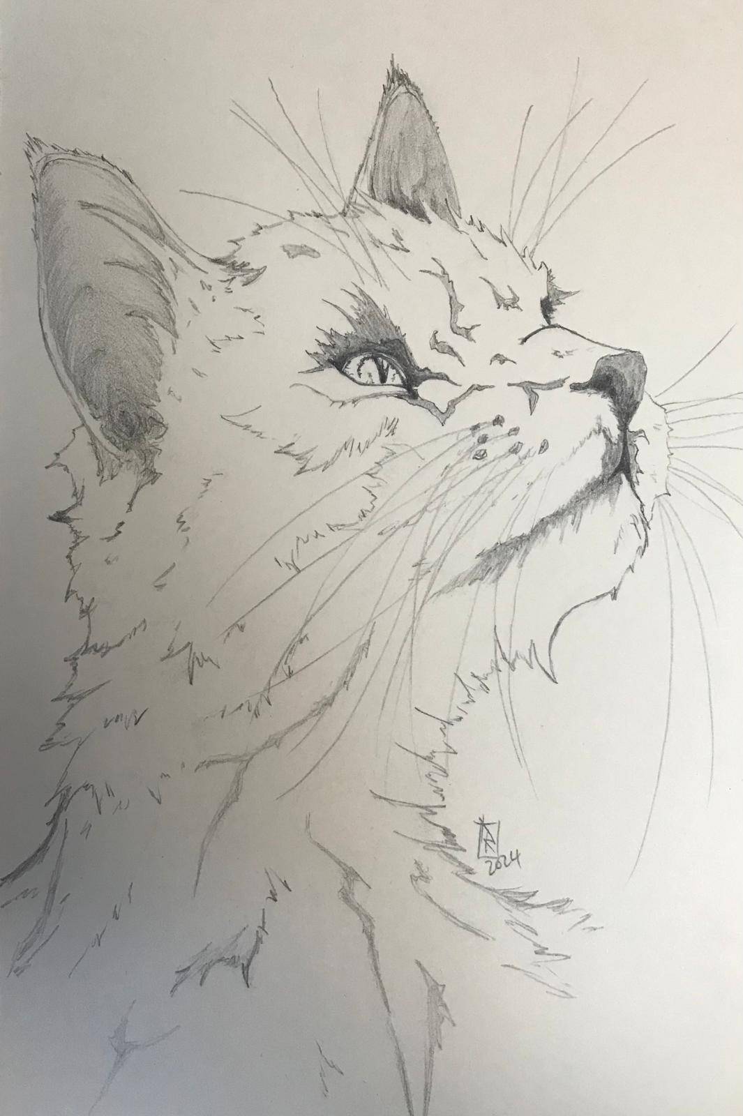 White Cat