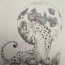A Cheetah's Tears