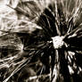 make a wish