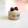 Black Raspberry Shortcake