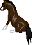 Free bay horse avatar