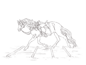 Coloring Page: Western Mare