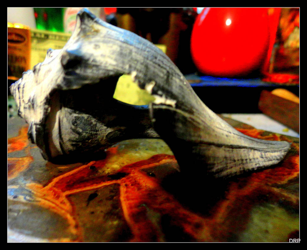 Shell Life by DanPatrick on DeviantArt