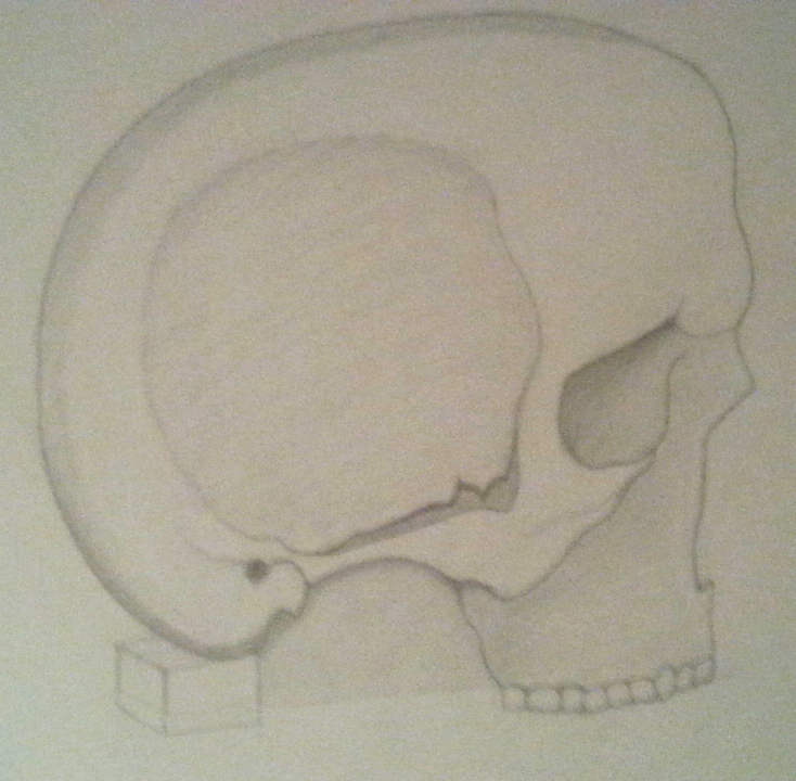 Skull 1