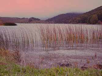 Sun on the Lake