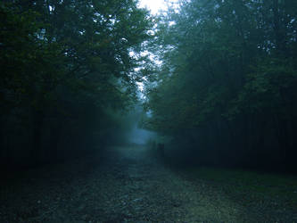 Blue Forest