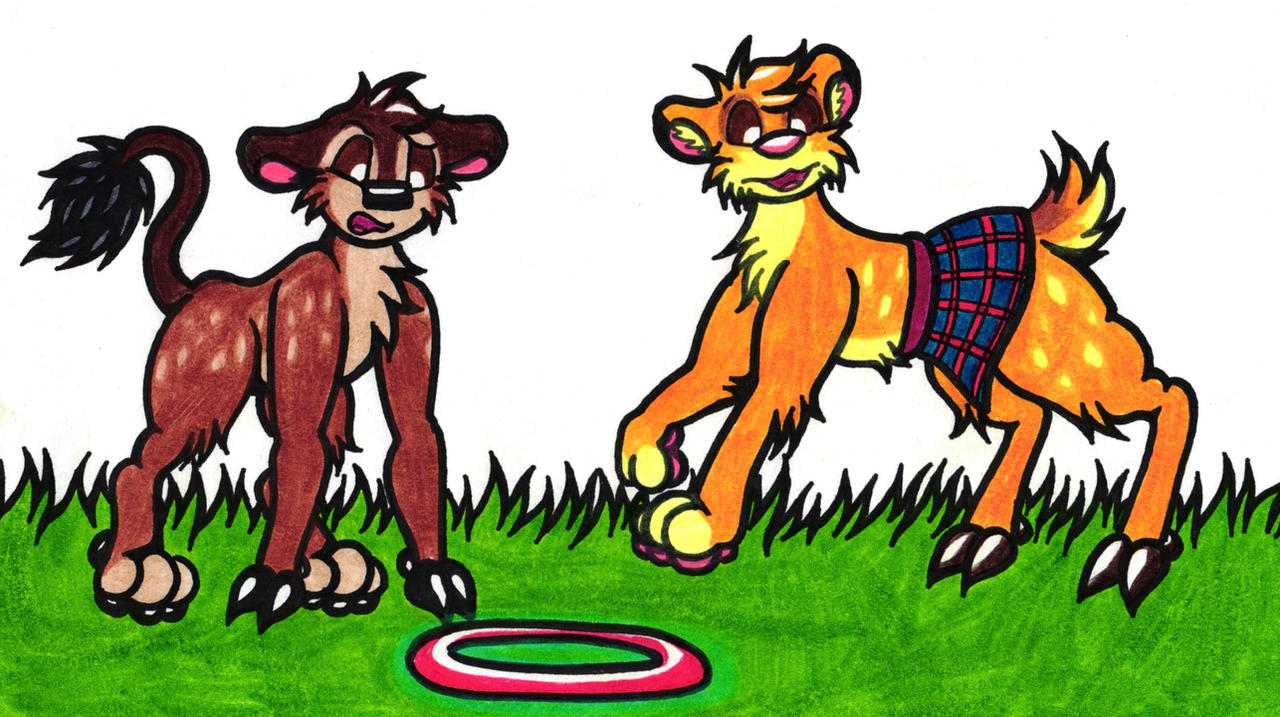 Hoop Testing (1 of 2)