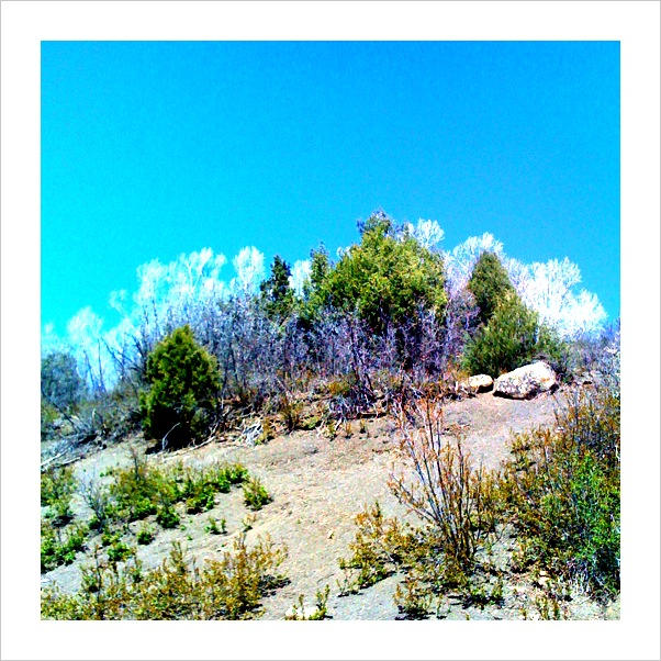 Altered Color by creativesoul1 on DeviantArt