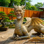 Dragon of Balance