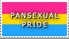 STAMP: Pansexual Pride