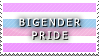 STAMP: Bigender Pride