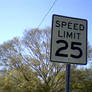 Speed Limit: 25