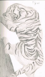 Tiger Hunting portrayal as peter paul rubens