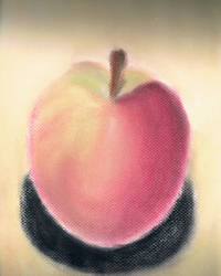 Apple Still life study in conte