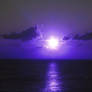 Night Glow Stock