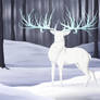 Frost Deer