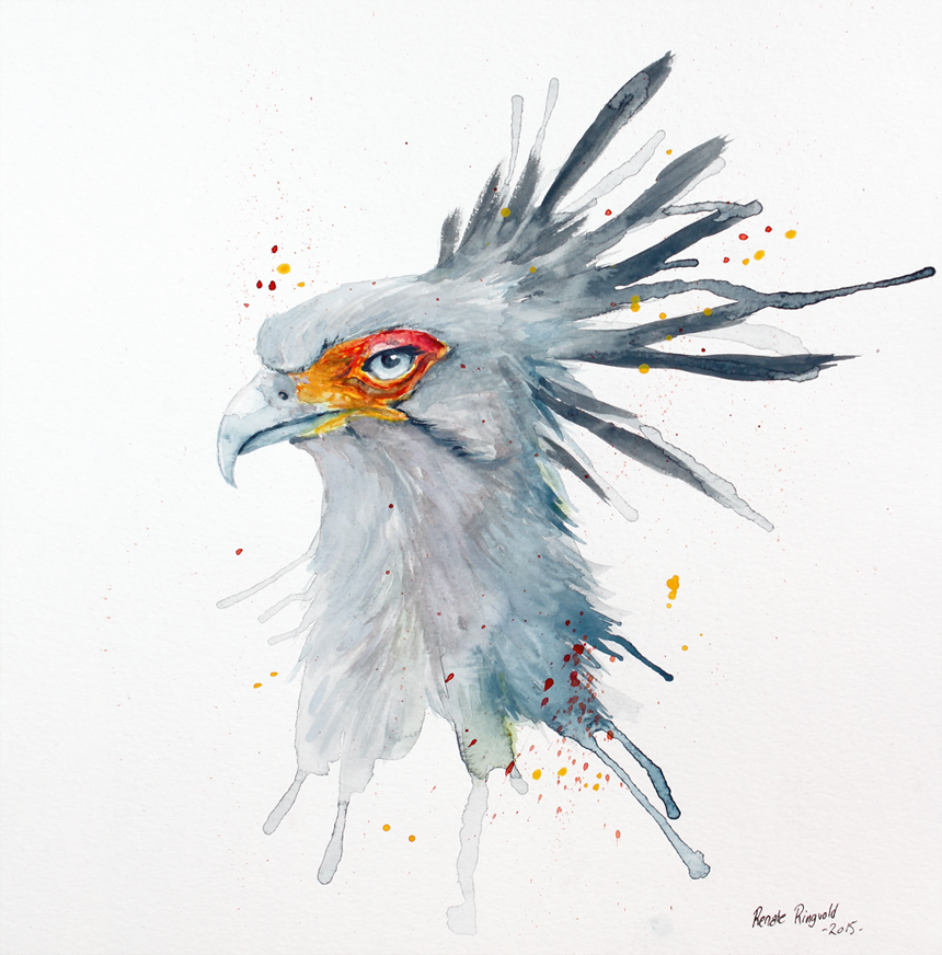 Secretarybird