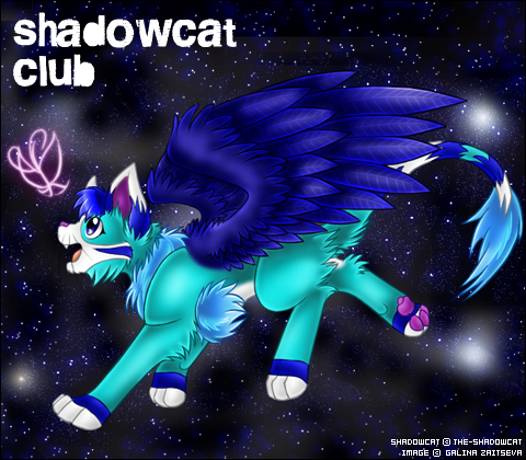 ShadowCat ID by Bebi-Vegeta