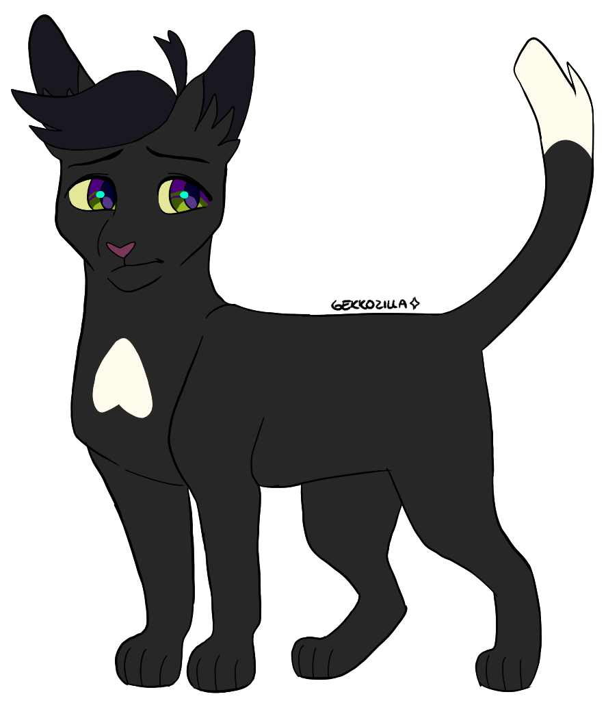 Warriors Cats - Ravenpaw by AnimalLover4Ever on DeviantArt