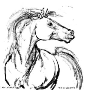 Sketch of a horse