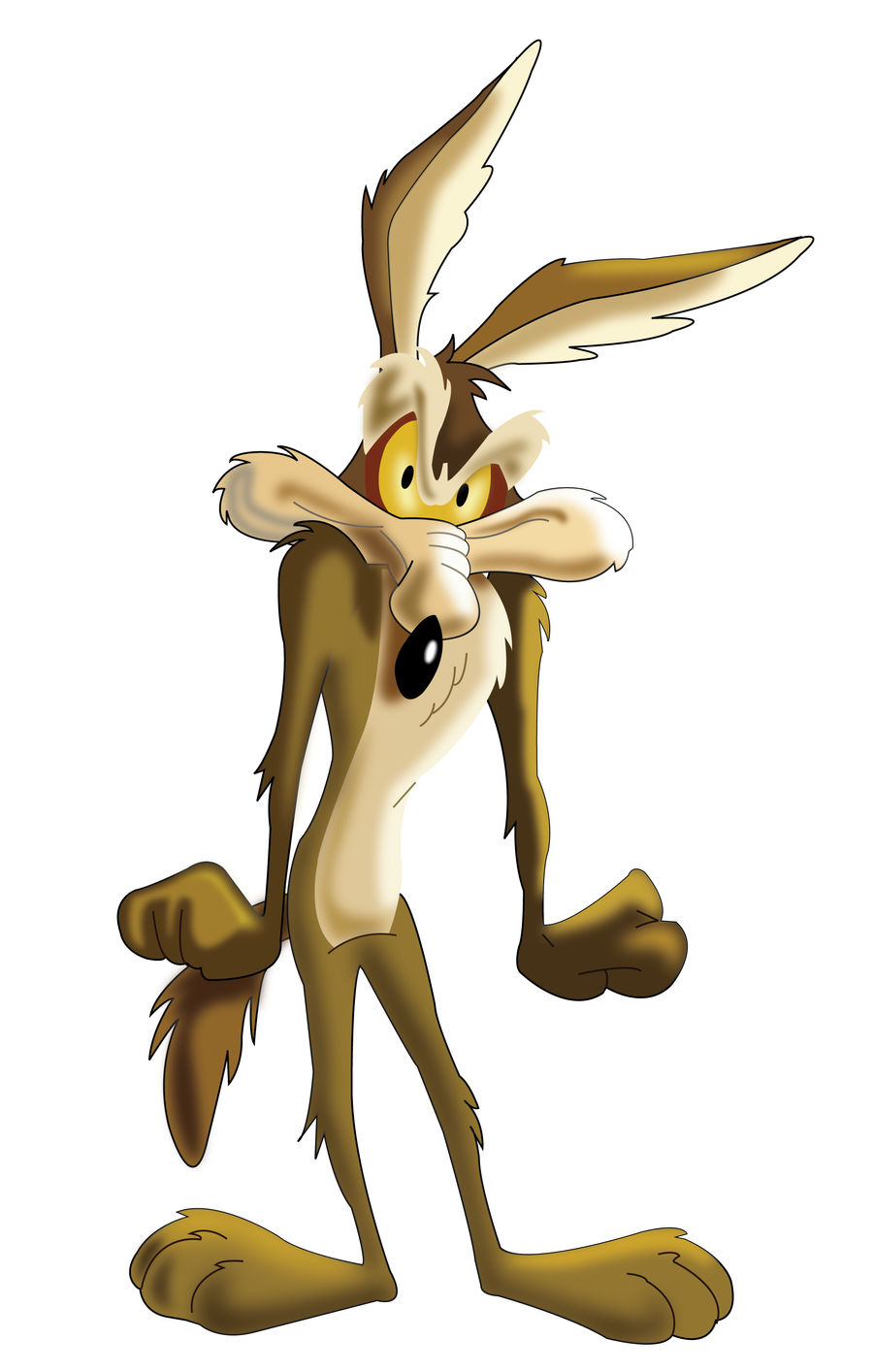 Willy E. Coyote by Maxisq on DeviantArt