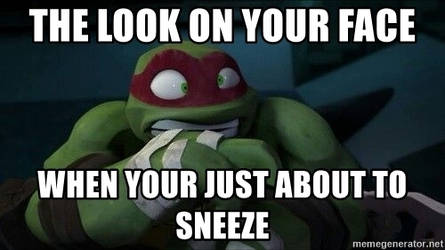 About to sneeze-Raph