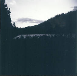 Holga 32