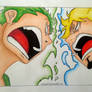 Roronoa Zoro and Sanji