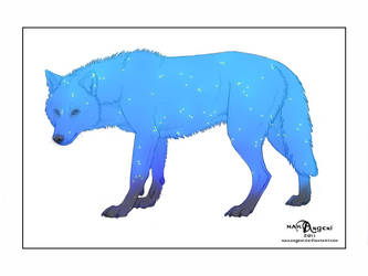 CLOSED WOLF ADOPTABLE