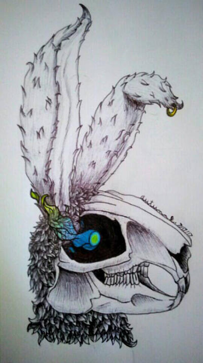 Stuffed Rabbit Skull Rabbit skull by LunaShadowsong on DeviantArt
