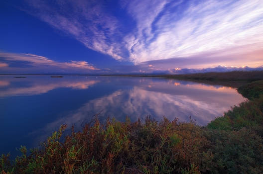 Shoreline Sunrise