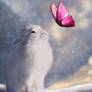 Snowy Day