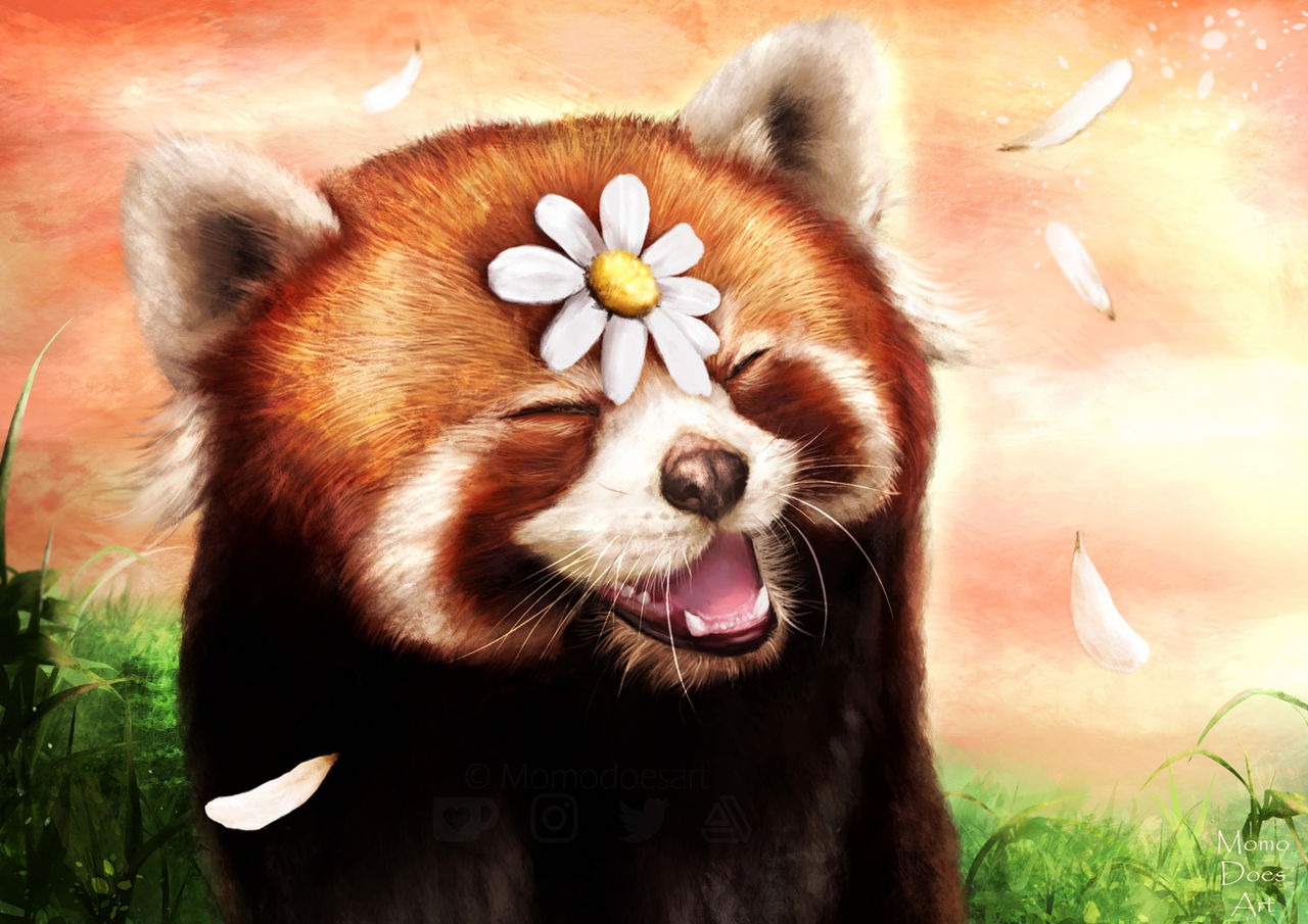Smiley Red Panda