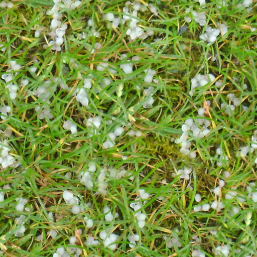 Hail on Grass 2
